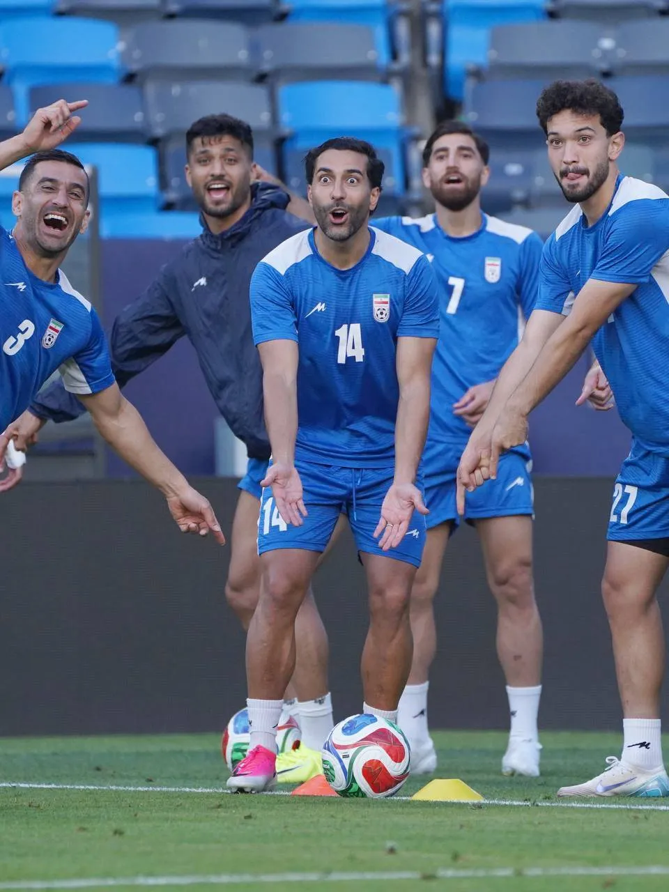 تیم ملی