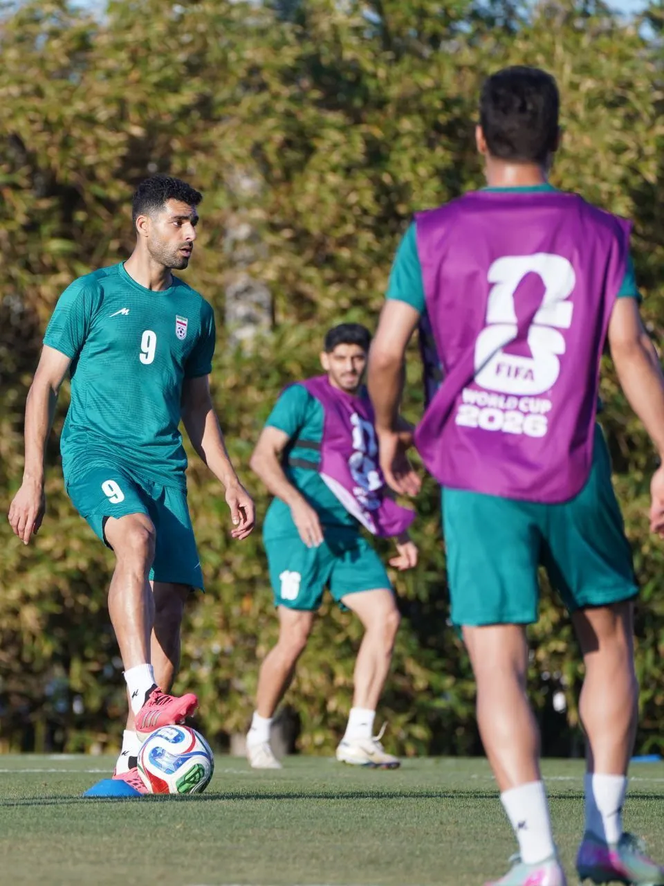 تیم ملی