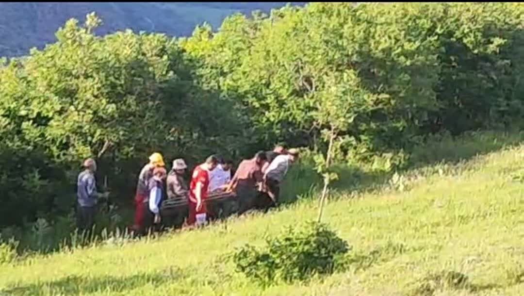 نجات معجزه‌آسا در جنگل‌های ارسباران