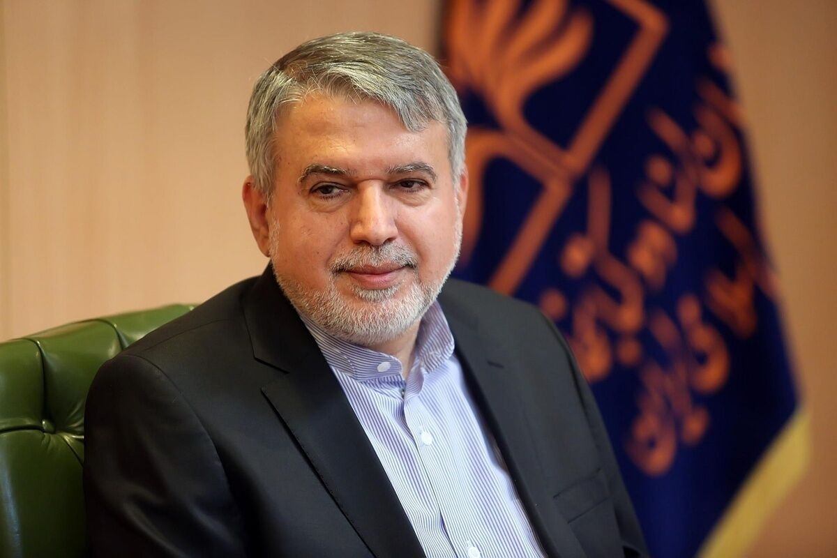 صالحی امیری: ظرفیت ایران در حوزه میراث ناملموس فراتر از میراث ملموس است