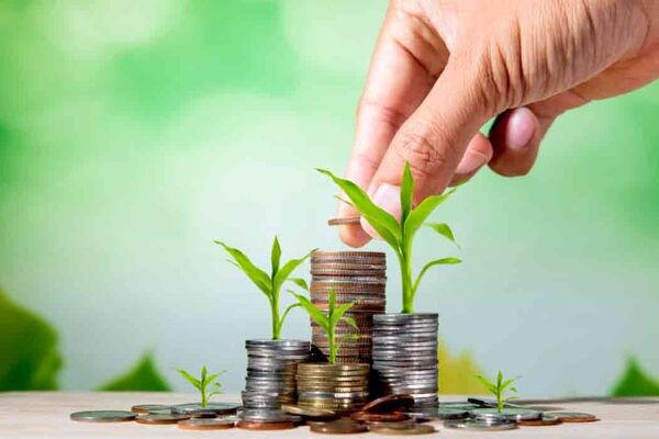 اهمیت نظارت بانک مرکزی در پرداخت تسهیلات اشتغال به مددجویان