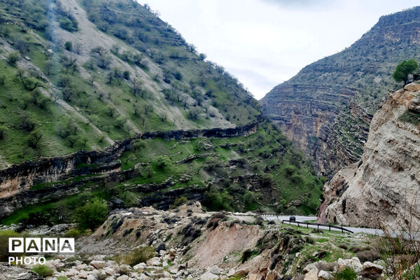 طبیعت روستای بیدله به هنگام بهار