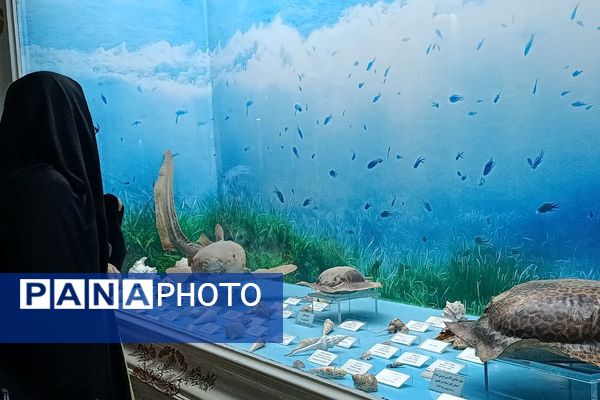 بازدید از موزه‌‌ حرم رضوی