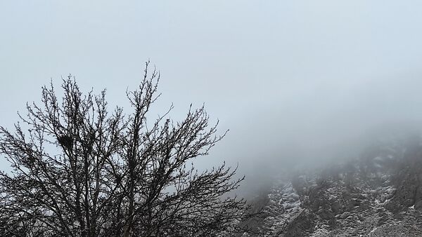 بارش زیبای باران با عطر و بوی بهار در شهرستان بن