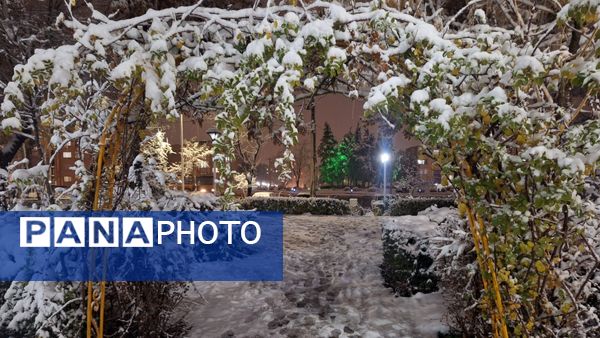 پارک‌های شهر مشهد در آغوش برف