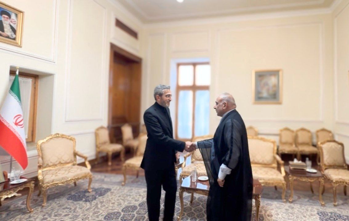 دیدار و گفت‌وگوی سرپرست وزارت خارجه با نخست‌وزیر پیشین عراق