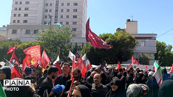 خادم حضرت خورشید بازگشت به آغوش حرم