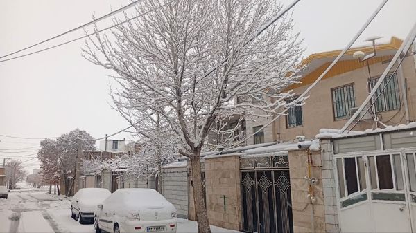 شازند سفیدپوش شد