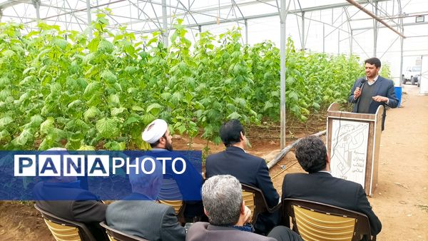 بازدید از گلخانه نمونه خسروشاه در هفته بسیج