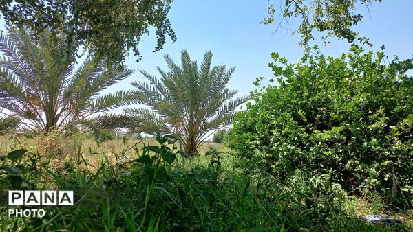 طبیعت هرگز تکراری و خسته‌کننده نمی‌شود