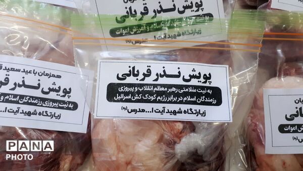 «ویژه برنامه عید بندگی» در کاشمر 