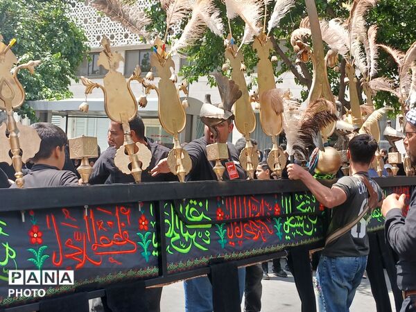 عاشورا؛ روایت دلدادگی در قاب اشک و ارادت 