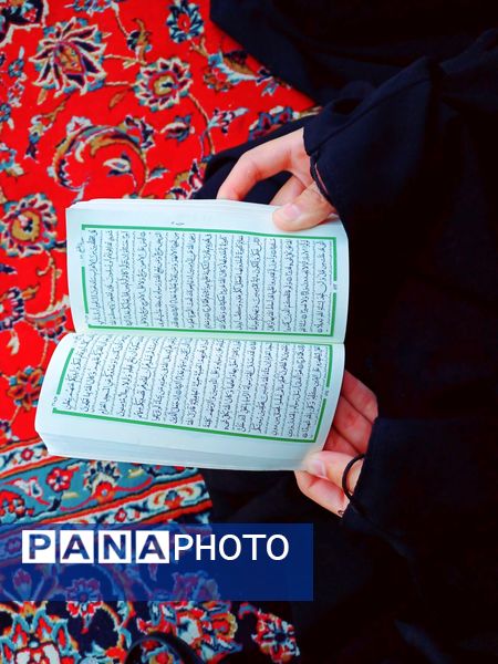 عزاداری شهادت حضرت رقیه سلام الله علیها