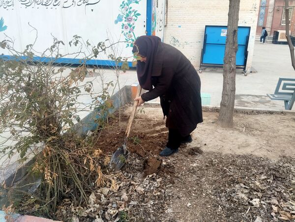 کاشت درخت در هنرستان بصیرت آشخانه