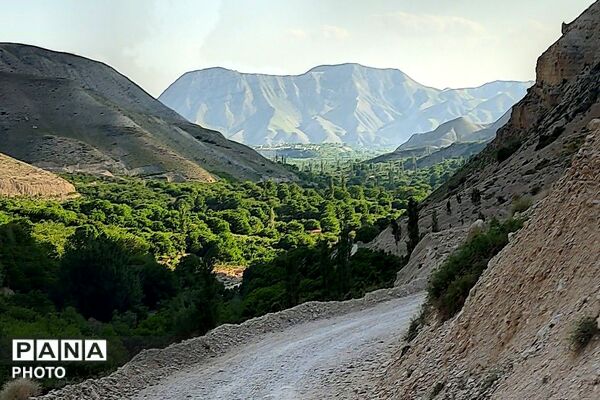 کوه های شهر بار ذخیره‌گاه گیاهان ارزشمند و کم نظیر دارویی 