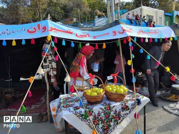 اولین جشنواره سیب در شیروان