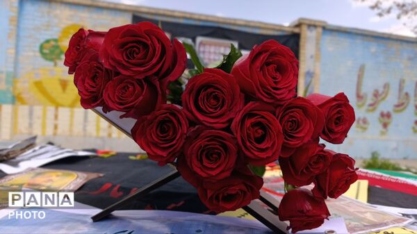روییدن امید از خاک شهادت؛ نهال‌هایی به نام رهبر شهید و شهدای مدرسه میناب