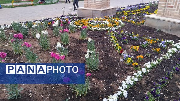 گل‌ها و درختان در شکوفایی