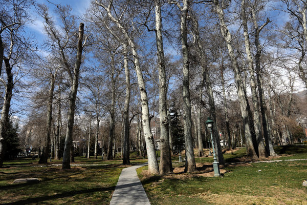 مجموعه فرهنگی تاریخی نیاوران