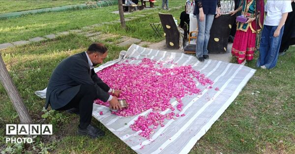همایش «مهربان مهربان»