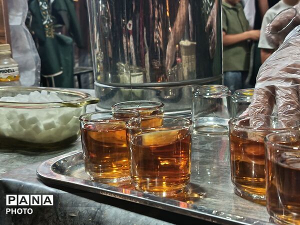قرار عاشقی در فضل نیشابور 