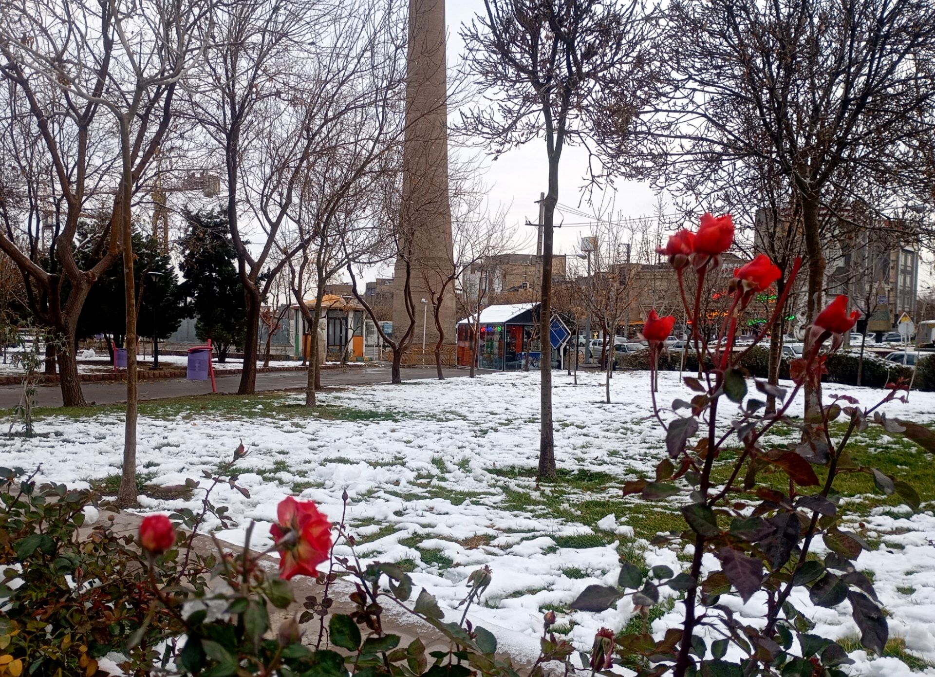 بارش برف در شهر زیبای مشهد 