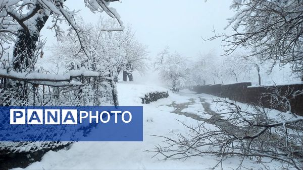 بارش برف در ارتفاعات شاندیز