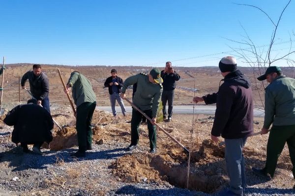 کاشت نهال در شوراب صغیر (تپه نور الشهدا واقع در مجموعه خیریه) 