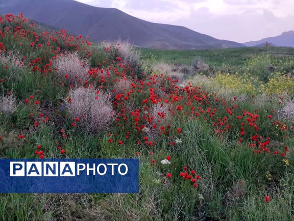 طبیعت بی نظیر روستا سربالا بهترین گزینه برای طبیعتگردی در فصل بهار
