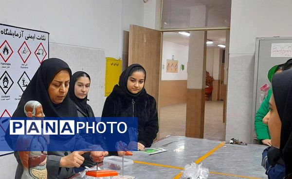 کارگاه تشریح قلب و آناتومی بدن انسان