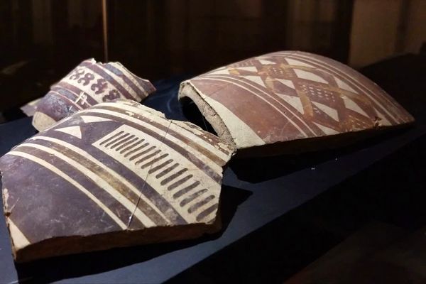 موزه ‌ها؛ میراث‌بانان میراث ملموس جامعه بشری