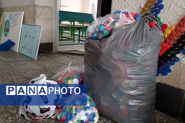 بازدید کارشناس مسئول سلامت و تندرستی آموزش و پرورش شهرستان قدس، از دبستان پروین، در جایگاه یک خانه محیط زیستی