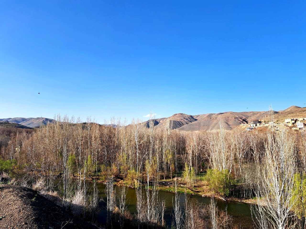 زاینده‌رود نفس سبز بهار