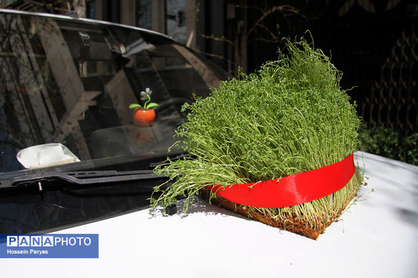 ۱۳ فروردین روز دوستی با طبیعت