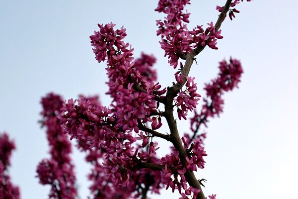 ارومیه شهر رویایی