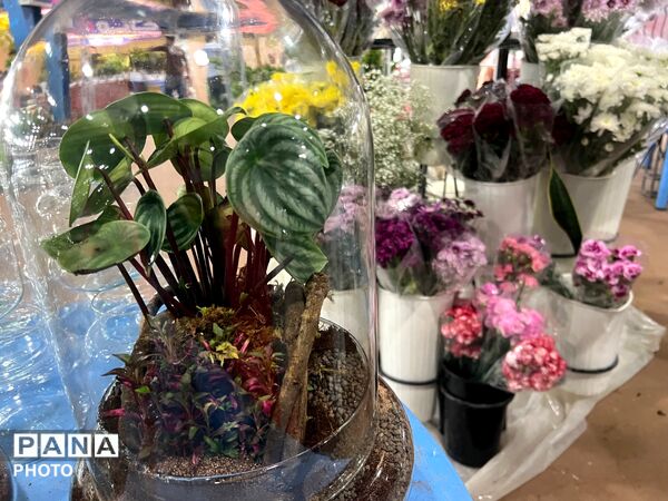 اولین نمایشگاه بهاره گل و گیاه و سوغاتی های محلی در شهرکرد