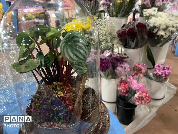 اولین نمایشگاه بهاره گل و گیاه و سوغاتی های محلی در شهرکرد