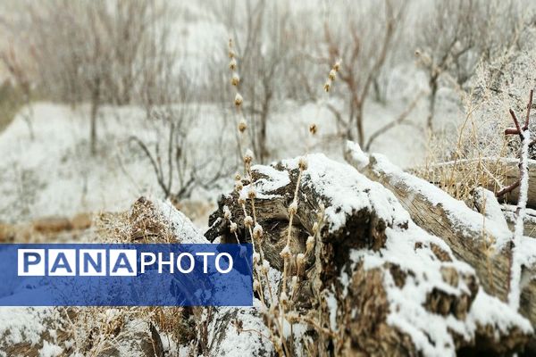 شروع اولین بارش برف زمستانی در بهمن ماه ۱۴۰۳ در شهر زیبای با‌ر
