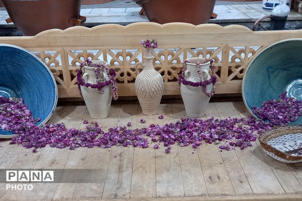 آغاز سمفونی گل و گلاب در مهد گل محمدی