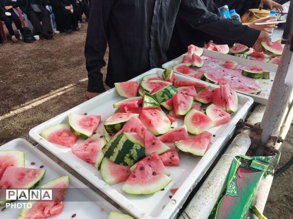 خادمان کوچک، قلبی به وسعت دریا؛ موکب‌هایی که مشهد را زنده نگه داشته‌اند