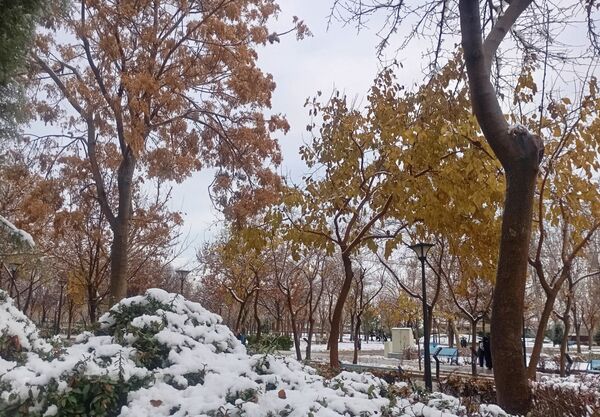بارش برف در شهر زیبای مشهد 