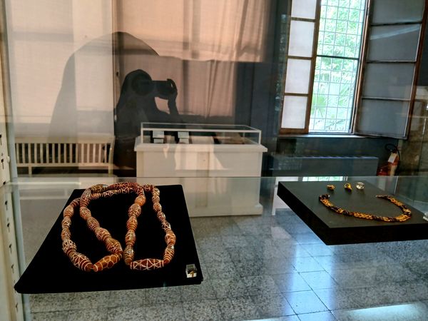 بازدید دانش آموز خبرنگاران پانا از موزه ی ملی ایران