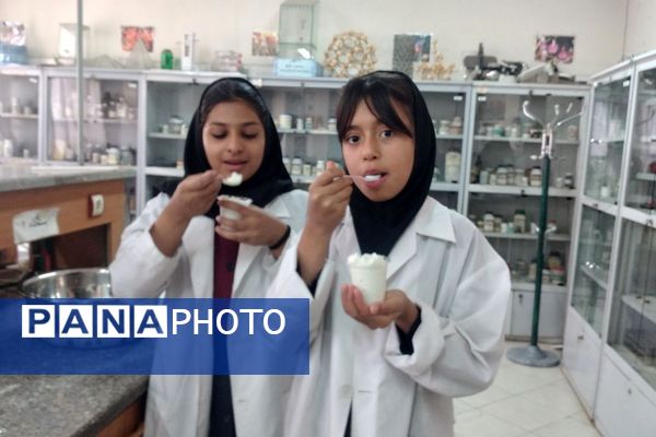 مزه شیرین علم، بستنی علمی