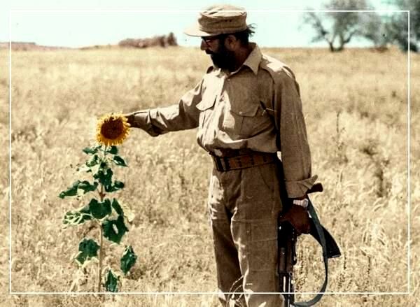 شهید چمران اسطوره‌ای از علم، عرفان و جهاد بود