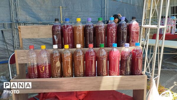 ششمین دوره بازارچه گیلاس و صنایع دستی روستای فشند ساوجبلاغ 