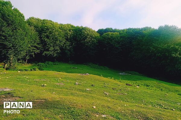 از آباده تا گیلان؛ سفری به سرزمین باران و جنگل‌های همیشه‌سبز