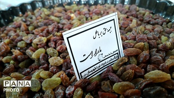 پیوند مهربانی از محله تا خط مقدم در شهر بن