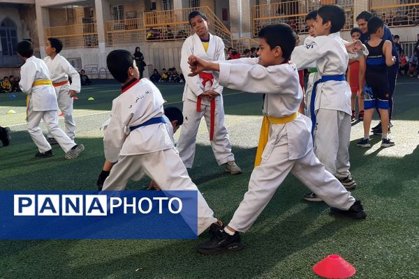 المپیاد ورزشی در دبستان شاهد حیات ناحیه 3 شیراز
