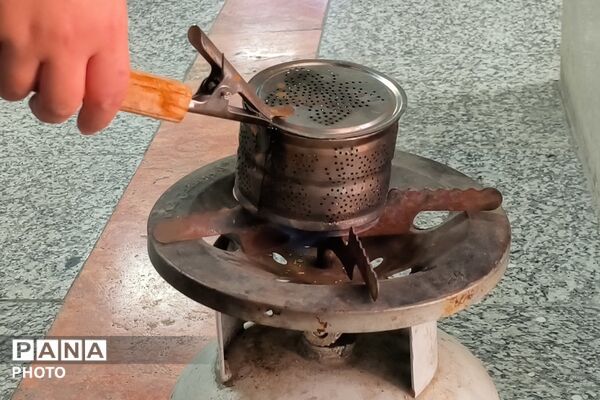 جوانه‌های تازه در سیدرضی موسوی