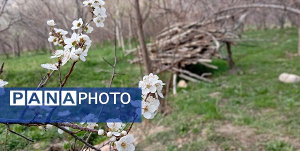 رویداد آیین باستانی سیزده بدر نیشابور در روز طبیعت از  قاب خبرنگاران پانا